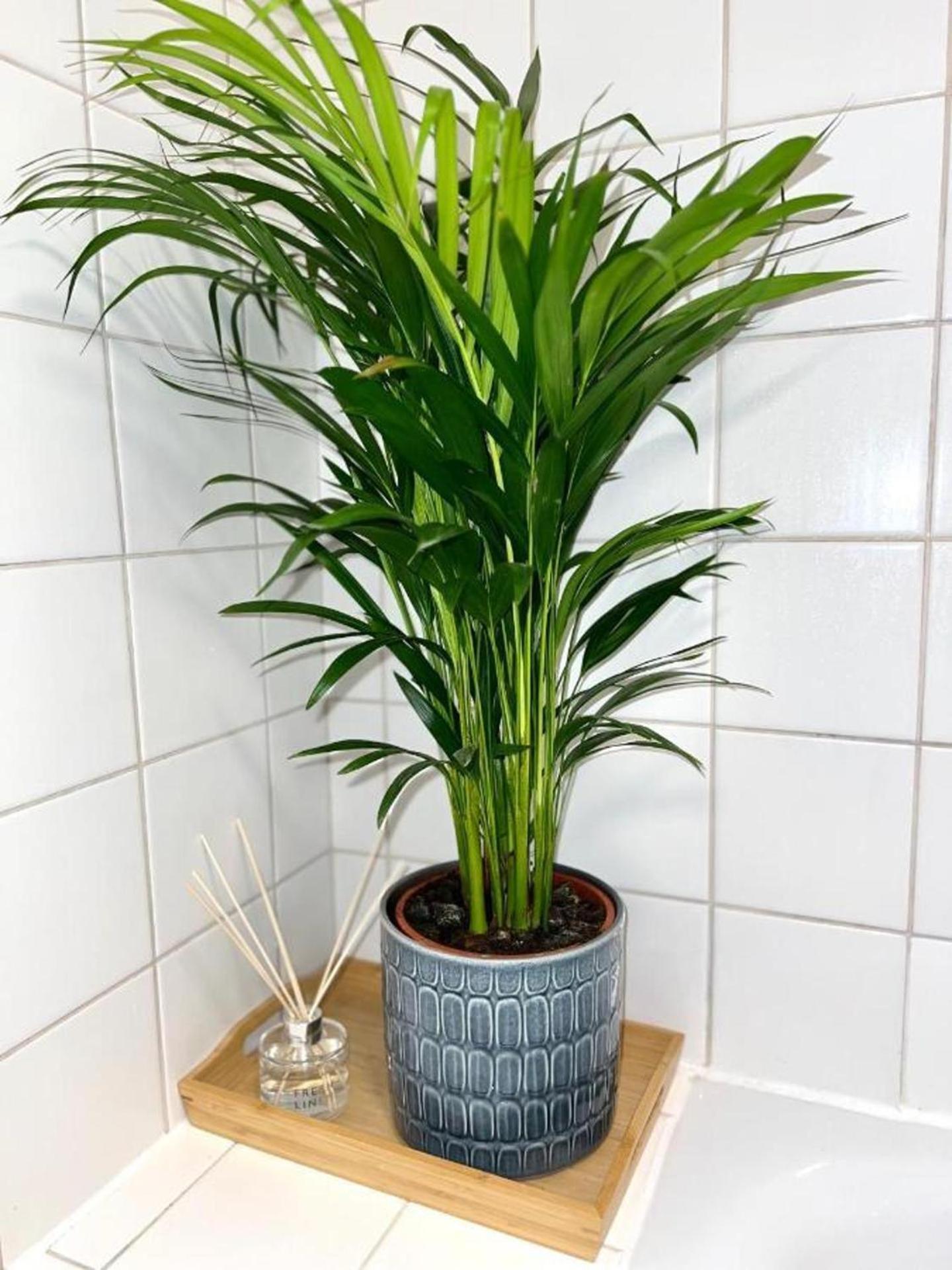 Apartment Apartment-sleeps4-parking-balcony Twickenham